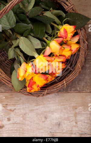 Hintergrund der Rosen im Korb auf hölzernen Hintergrund Stockfoto
