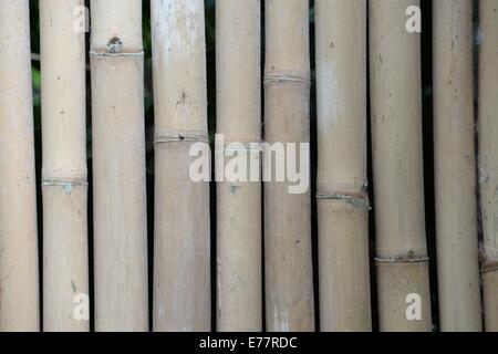 Eine Nahaufnahme einer Bambus-Barriere Stockfoto