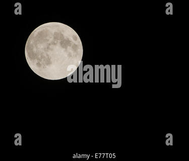 New York, USA. 9. September 2014.  Die endgültige Supermoon 2014 erscheint am Himmel über Brooklyn am 9. September 2014 in New York City. Bildnachweis: Michael Glenn / Alamy Live News Stockfoto