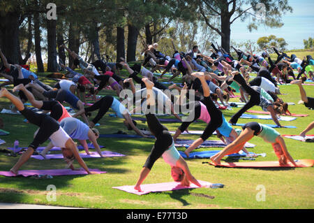 Täglich kostenlose Outdoor-Übung und Yoga-Kurse im Laterne Bay Park in Dana Point, Kalifornien Stockfoto