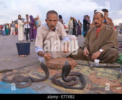 Schlangenbeschwörer auf dem Djemaa el-Fna Marktplatz, Marrakesch, Marrakech-Tensift-El Haouz Region, Marokko Stockfoto