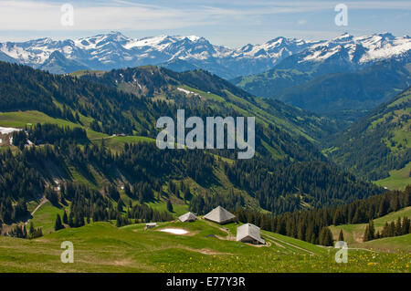 Voralpenlandschaft mit Almhütten, die schneebedeckten Berner Alpen auf der Rückseite, in der Nähe von Abländschen, Saanen, Kanton Bern Stockfoto