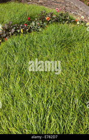 Das Garden House in Buckland Monachorum, Yelverton, Devon, an einem späten Sommertag. Stockfoto