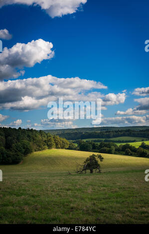 Blick über die Surrey Hills in der Nähe von Chilworth in Surrey, Großbritannien Stockfoto
