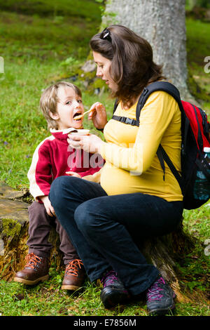 Mutter füttert seine jungen draußen im Wald auf einem Baumstumpf Stockfoto