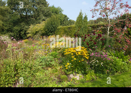 Der Garten im Hidden Valley Gardens in Cornwall an einem Sommer-Nachmittag Stockfoto