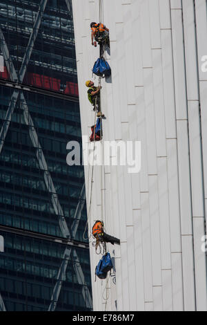 Fenster Reiniger Abseilenden senken sich nach unten das Walkie Talkie Gebäude in der City of London. Stockfoto