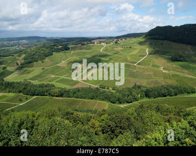 Jura Region Weinberge typische Landschaft, in der Nähe von Chateau Chalon, Frankreich Stockfoto