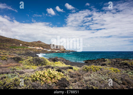 Die felsige Küste zwischen La Salemera und La Cangrejera im östlichen La Palma, mit Feigenkaktus und blühenden salado Stockfoto