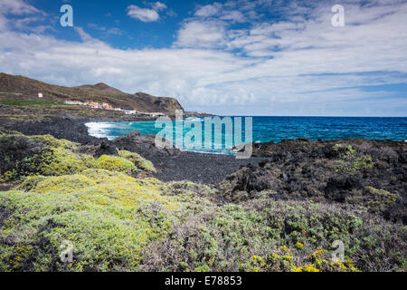 Die felsige Küste zwischen La Salemera und La Cangrejera im östlichen La Palma, mit Feigenkaktus und blühenden salado Stockfoto