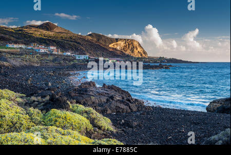 Die felsige Küste zwischen La Salemera und La Cangrejera im östlichen La Palma, mit blühenden Salado (Schizogyne Sericea) Stockfoto