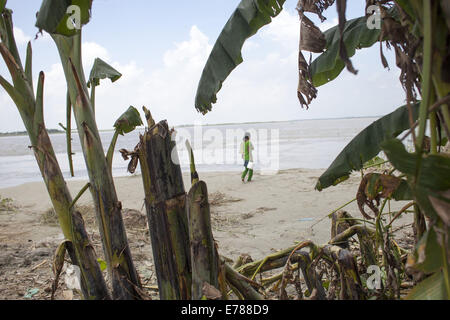 Munshigonj, Bangladesch. 9. September 2014. Bankkreis Erosion Fluss Padma Fluss. Bangladesch gehört zu den am dichtesten bevölkerten Länder der Welt mit 32 % Küstengebiet, das 47.211 Quadratkilometern ist, 35 Millionen Menschen Leben an der Küste die 28 % der Gesamtbevölkerung ist. Entsprechend den Spezialist Entwicklungstätigkeiten der Menschheit vor allem, der Ausbeutung und Verschmutzung der Wasserressource und Biodiversität die Risiken von Katastrophen durch klimatische Veränderungen wie Flusserosion gestiegen. Bildnachweis: ZUMA Press, Inc./Alamy Live-Nachrichten Stockfoto