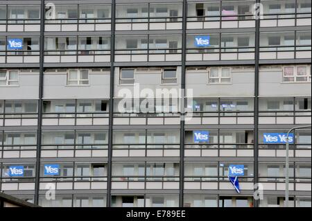 Glasgow, Schottland, 9. September 2014. Plakate und Fahnen unter Windows auf einem Wohnblock in Glasgows Gorbals verkünden Unterstützung für eine Abstimmung mit "Ja" als die schottische Unabhängigkeit Referendum Ansätze. Abstimmen, ob Schottland ein unabhängiges Land sein sollte findet statt am 18. September 2014 Credit: Tony Clerkson/Alamy Live News Stockfoto