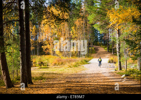 Autumn ciclyng Stockfoto