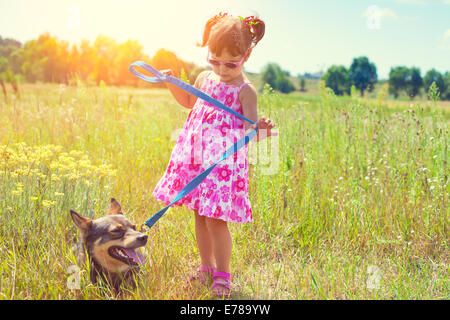 Kleines Mädchen mit Hund auf der Wiese und den Hund an der Leine zu halten Stockfoto