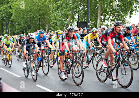Tour de France Radfahrer auf dem Damm, London 2014 Stockfoto