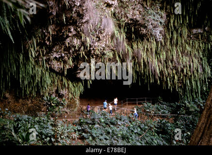 Fern Grotto (Pre-2007), Kauai, Hawaii Stockfoto