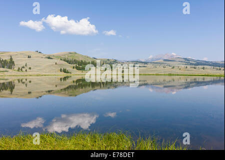 Yellowstone Park zeigt eine Reflexion in einem ruhigen See mit flauschigen Wolken in der Nähe von West Yellowstone, Montana, USA. Stockfoto
