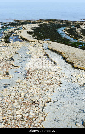 Kilve Strand Somerset Südwestengland Stockfoto