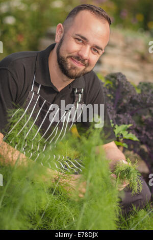 Küchenchef im Kräutergarten Stockfoto