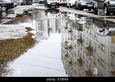 Reflexionen in Big Spring Stadt Pfütze Stockfoto