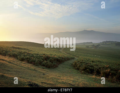 Sonnenaufgang über dem Bracken und Gemeindeland Mynydd Illtud im Brecon Beacons National Park, mit Blick auf die Berge Stockfoto