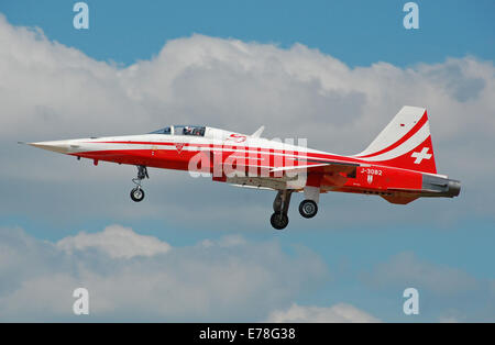 Der Northrop F-5E Tiger II (J-3082) des Kunstflugteams Patrouille Suisse kommt beim Royal International Air Tattoo 2014 an. Die Markierung „50“ des Flugzeugs feiert das 50-jährige Bestehen des Teams. Stockfoto