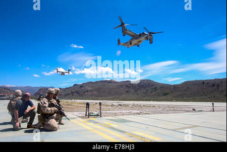US-Marines mit Foxtrott Company, 2. Bataillon, 7. Marineregiment vorzubereiten, Zivilpersonal Vorstand MV-22 Osprey Tiltrotor Flugzeug 13. August 2014, während einer taktischen nichtkämpfenden Evakuierung Trainingsmission im Rahmen der großen Skala Übung zu begleiten Stockfoto