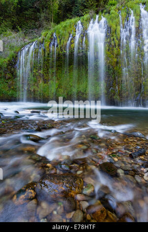 Eine vertikale Langzeitaufnahme der üppigen grünen Klippen an den Mossbrae Falls. Wasser sickert durch lebendiges Moos und Farne, wodurch oben ein Vorhangeffekt entsteht Stockfoto