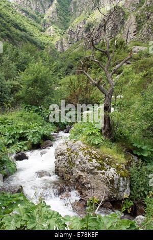 Gveleti High Valley, schöne Landschaft entlang der Georgian Military Road, Kaukasus, Georgien, Europa Stockfoto