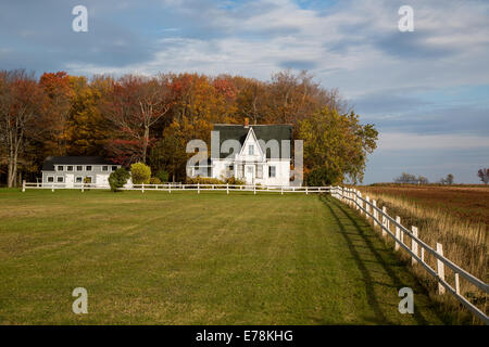 Ein altes verlassenes Haus auf einem Hof im Herbst. Stockfoto