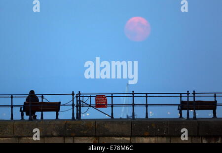 Swansea, Großbritannien. 9. September 2014.  Im Bild: Eine Frau sitzen auf einer Bank gerade Super Mond, bekannt als Perigäum über Swansea Bay aufgeht, wie gesehen von Mumbles, Süd-Wales, Vereinigtes Königreich. Bildnachweis: D Legakis/Alamy Live-Nachrichten Stockfoto