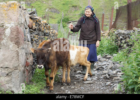 SNO, GEORGIA - 1. Juli 2014: alte Frau hüten Kühe in einem kaukasischen Dorf am 1. Juli 2014 in Sno, Georgia, Europa Stockfoto