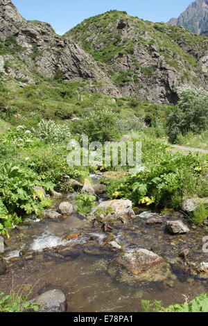 Gveleti High Valley, schöne Landschaft entlang der Georgian Military Road, Kaukasus, Georgien, Europa Stockfoto