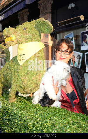 London, UK. 09. Sep, 2014. Celeb besucht A Date mit Ihrem Hund in Ehren von Clarissa von Clarissa Baldwin OBE im George Club in London. Bildnachweis: Siehe Li/Alamy Live News Stockfoto