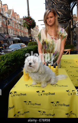 London, UK. 09. Sep, 2014. Celeb besucht A Date mit Ihrem Hund in Ehren von Clarissa von Clarissa Baldwin OBE im George Club in London. Bildnachweis: Siehe Li/Alamy Live News Stockfoto