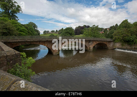 Reich verzierte Bogenbrücke über River Derwent, mit Brücke, Bäumen und blauen Himmel spiegelt sich in ruhigem Wasser im englischen Dorf Belper Stockfoto