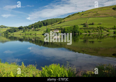 Ladybower Lake Reservoir auf Ashop Fluss mit blauem Himmel spiegelt sich in ruhigem Wasser, umgeben von Wäldern & Felder von Wildblumen, Derwent Valley, England Stockfoto