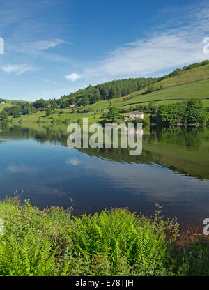 Ladybower Lake Reservoir auf Ashop Fluss mit blauem Himmel spiegelt sich in ruhigem Wasser, umgeben von Wäldern & Felder von Wildblumen, Derwent Valley, England Stockfoto