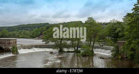 Derwent River übergreifen breiten hufeisenförmigen Wehr im englischen Dorf von Belper mit Flussufer Wälder und blauer Himmel Stockfoto