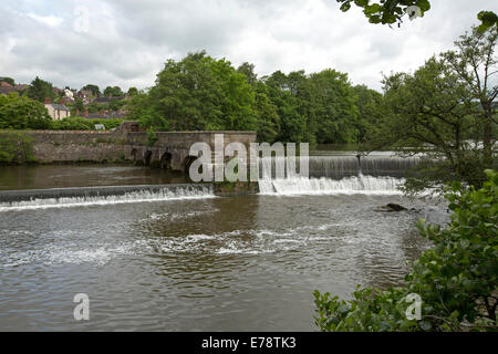 Derwent River hufeisenförmigen Wehr im englischen Dorf von Belper mit Ufer Bäume übergreifen spiegelt sich in ruhigem Wasser Stockfoto