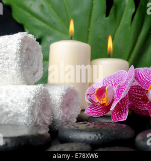 Wunderschöne Spa-Konzept von Zen Steinen mit Tropfen, blühender Zweig der abgestreift, violetten Orchidee (Phalaenopsis), großes grünes Blatt und sta Stockfoto