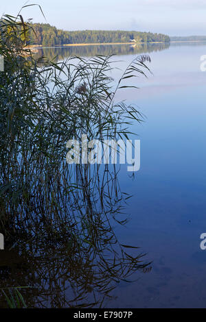 Seenlandschaft, Lappeenranta, Finnland Stockfoto