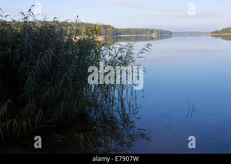 Seenlandschaft, Lappeenranta, Finnland Stockfoto