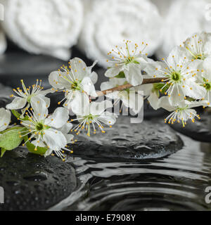 Spa Set von frisch blühende Zweig Pflaume auf Zen Steinen und weiße Handtücher, ripple Reflexion über Wasser, Nahaufnahme Stockfoto