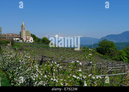 Altenburg bei Kaltern, Überetsch, Süd-Tirol, Italien Stockfoto