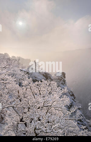 Winterlandschaft im nebligen Bodetal, schneebedeckten Felsen und Bäume, Roßtrappe Klippe, Thale, Sachsen-Anhalt, Deutschland Stockfoto