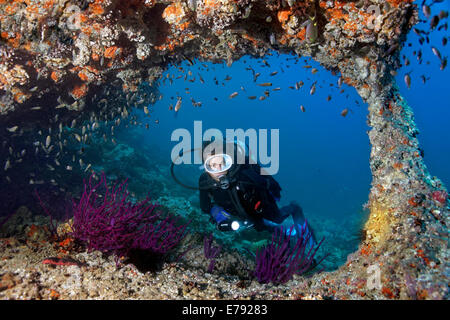 Weibliche Taucher schwimmen durch einen Bogen in das Riff mit verschiedenen Arten von Riff-Fischen (Pomacentridae) Stockfoto