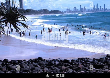 Surfer genießen die Wellen in Burleigh Heads an der Gold Coast in Australia.Surfers Paradies ist in der Ferne. Stockfoto