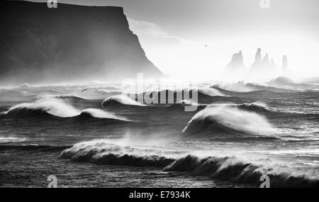 Wellen brechen sich am Renisfjara Strand, während Vögel über Kopf, Süden Islands fliegen Stockfoto